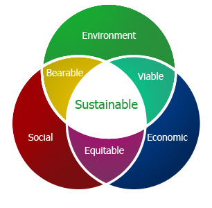 sustainability environmental issues social sustainable graphic