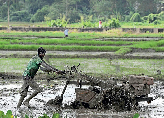 Agricultural Livelihoods In Sri Lanka Impacted By Salinisation